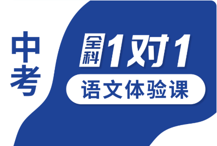 秦皇岛市锐思教育中考语文1对1个性化辅导课程